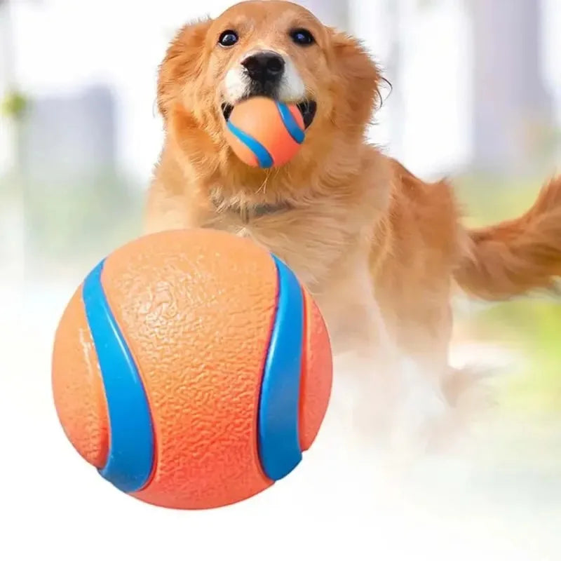 Pelota Irrompible Súper Rebote para Perros
