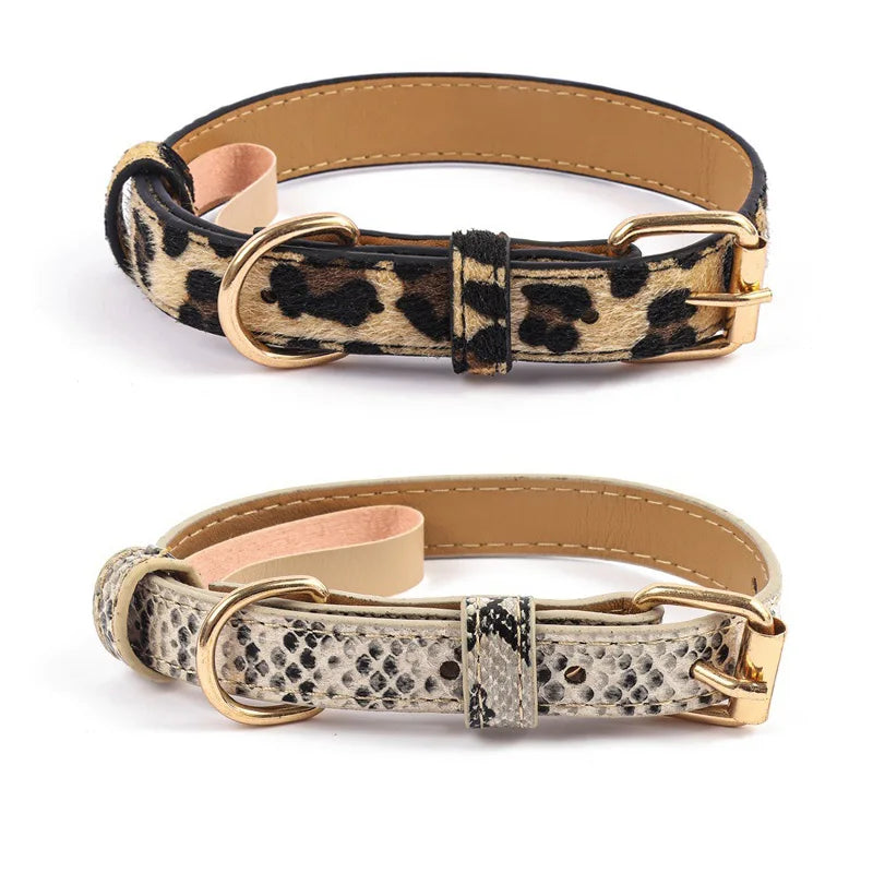 Collar Animal Print