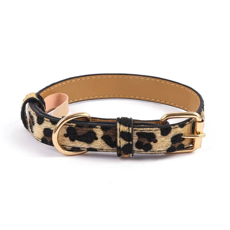 Collar Animal Print