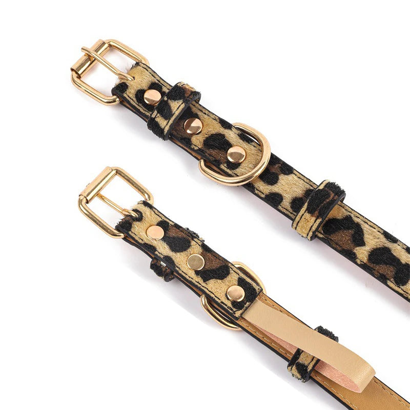 Collar Animal Print