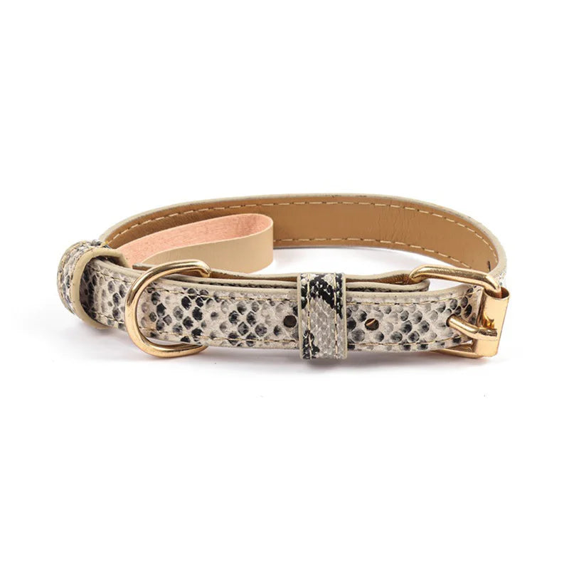 Collar Animal Print
