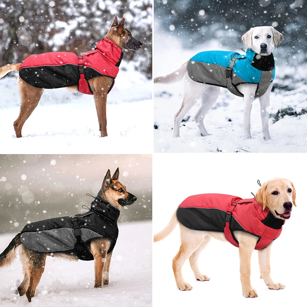 Chaqueta Impermeable/Termica Reflectante para Perros