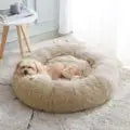 Cama de Flepa para Perros & Gatos