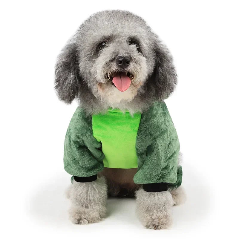 abrigo para perro verde dinosaurio