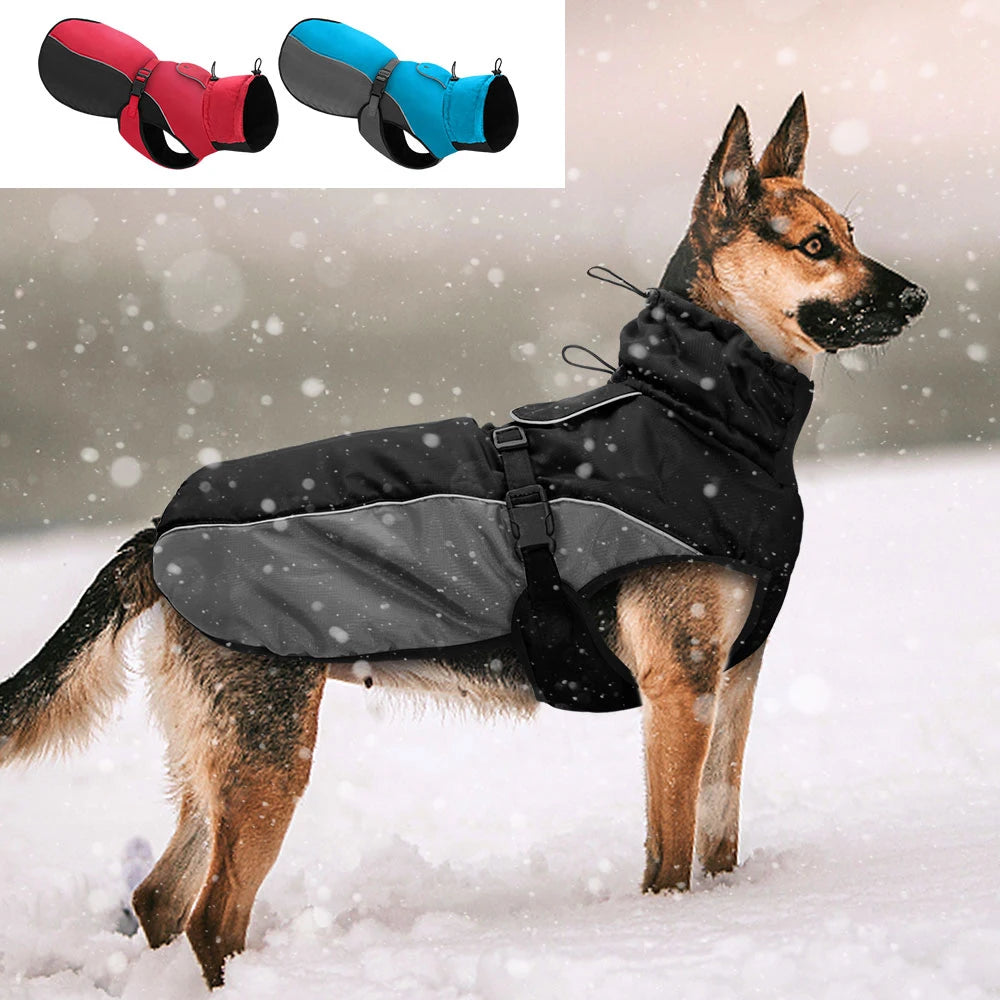 Chaqueta Impermeable/Termica Reflectante para Perros