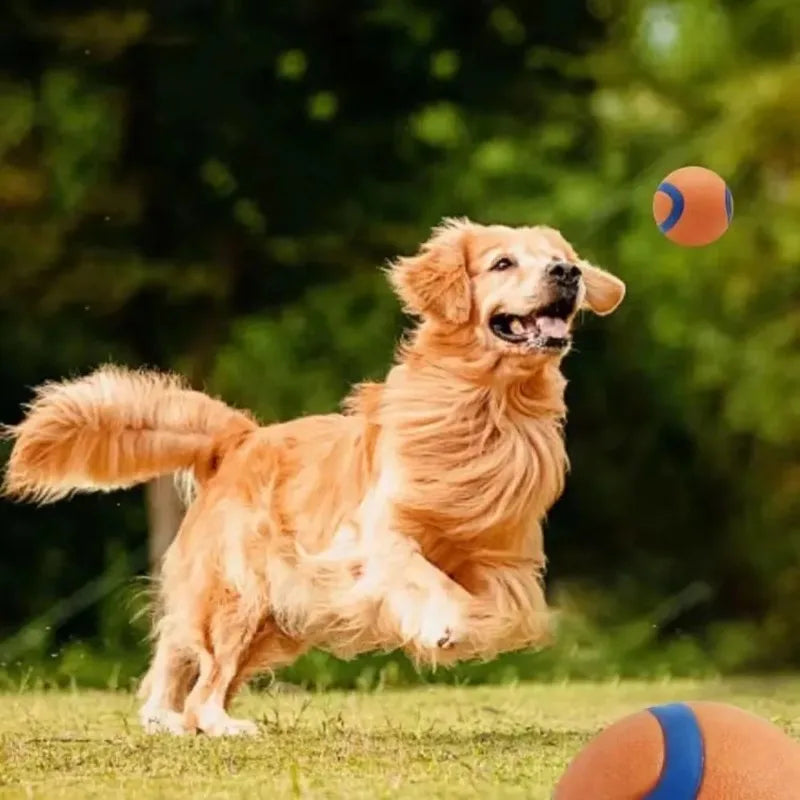 Pelota Irrompible Súper Rebote para Perros