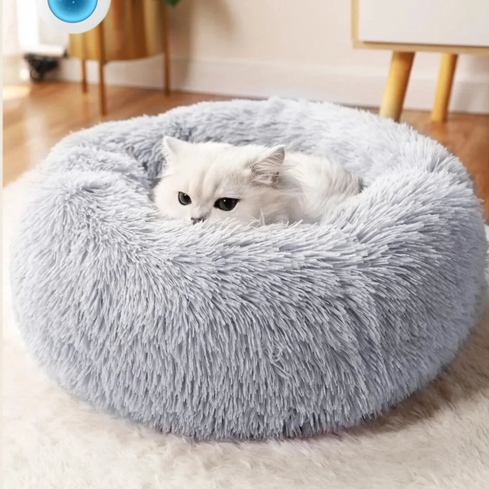 Cama de Flepa para Perros & Gatos